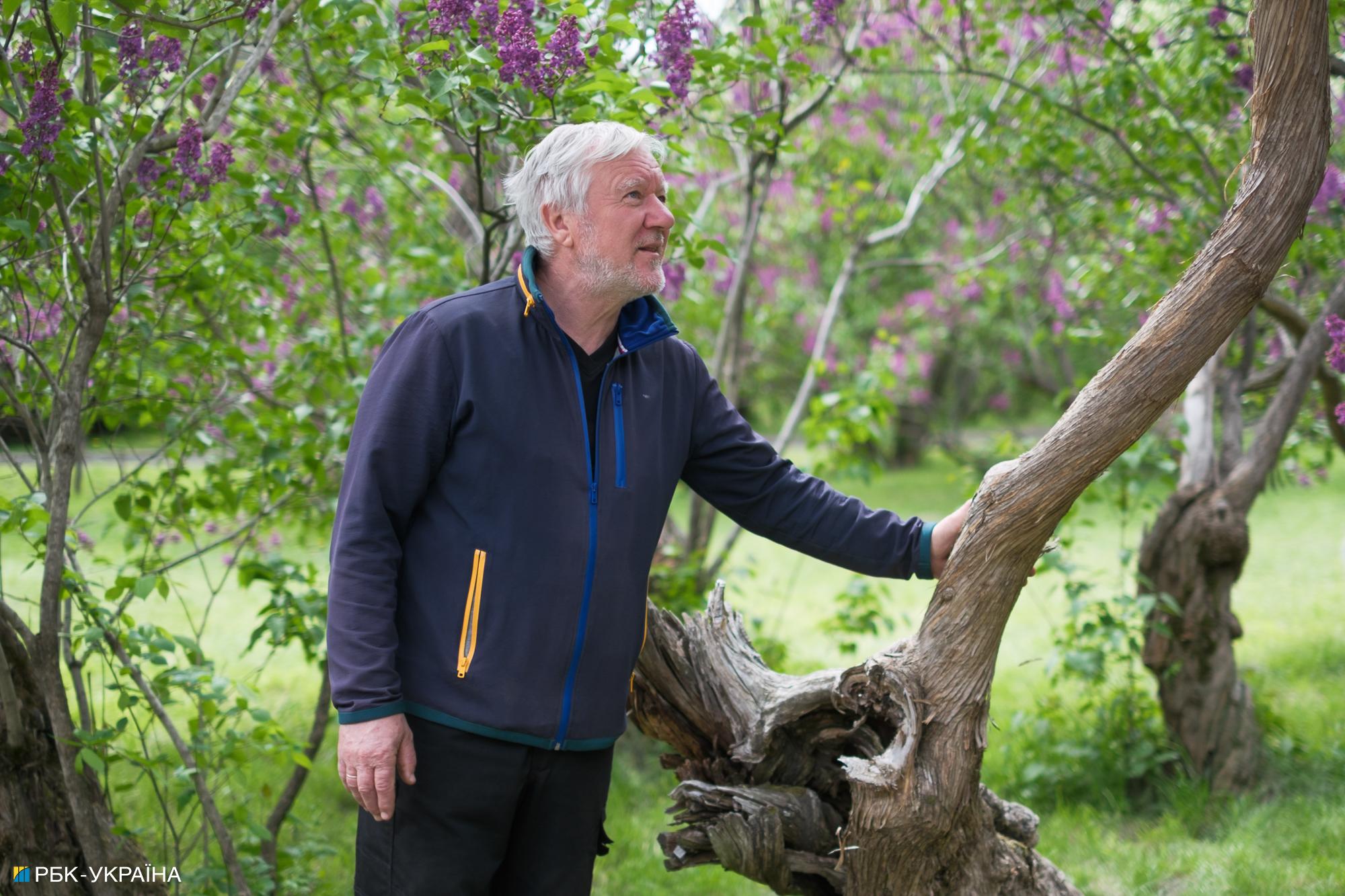 Бузок старіє, а кедр стане новим символом Києва, - Микола Шумик, Ботсад ім. Гришка